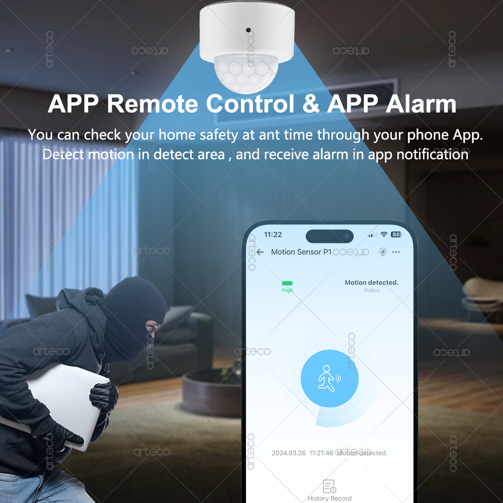 Ewelink Zigbee PIR-Bewegungsse – Smart Home Yale Bewertung und Preis